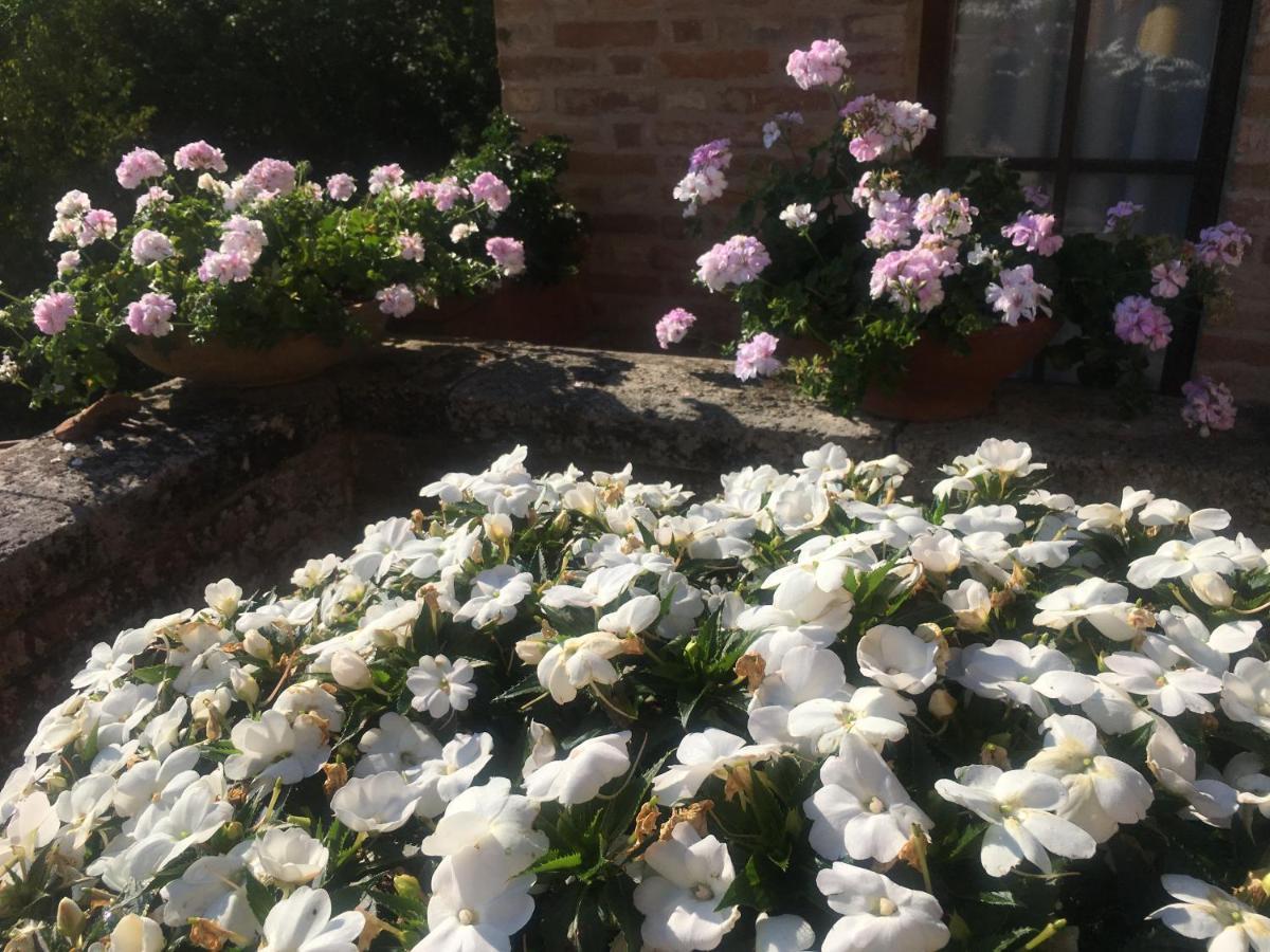 Villa Caprera Siena Bagian luar foto
