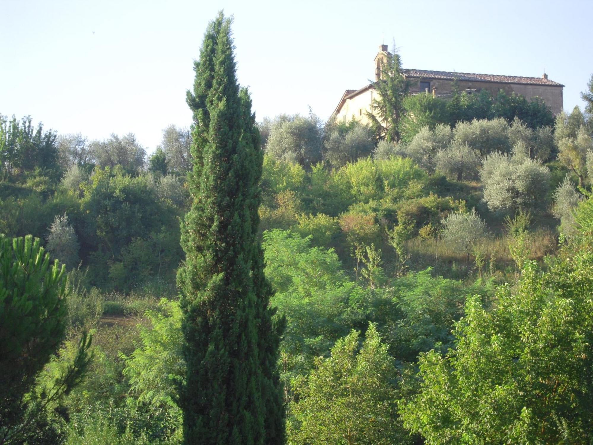 Villa Caprera Siena Ruang foto