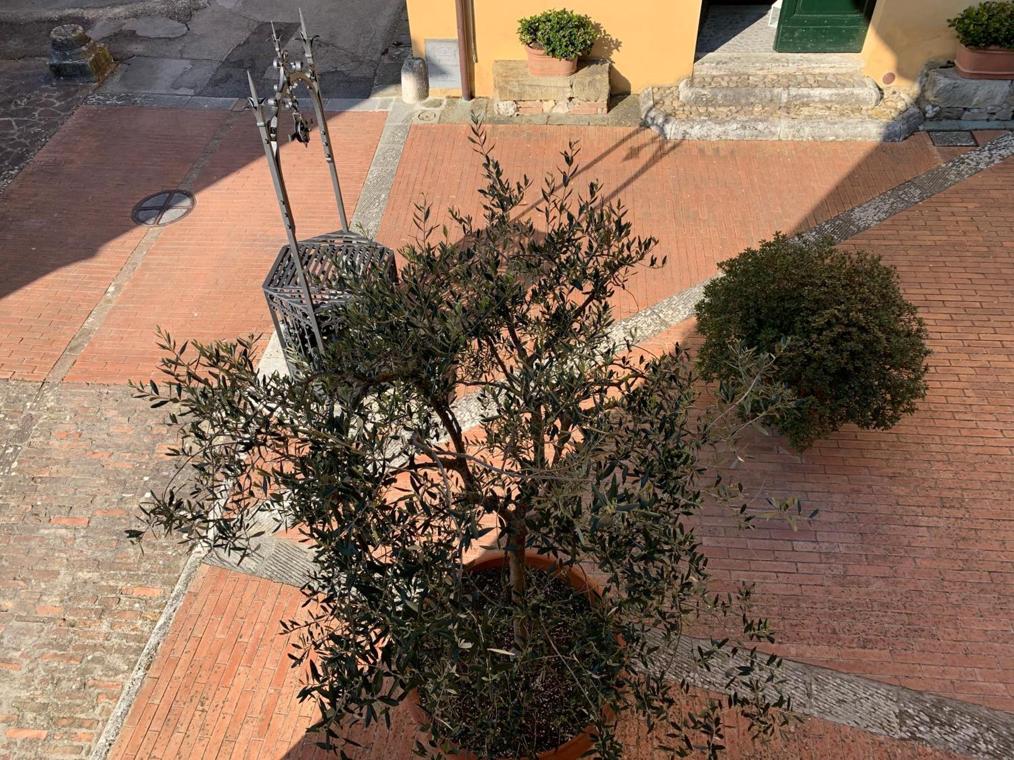 Villa Caprera Siena Ruang foto