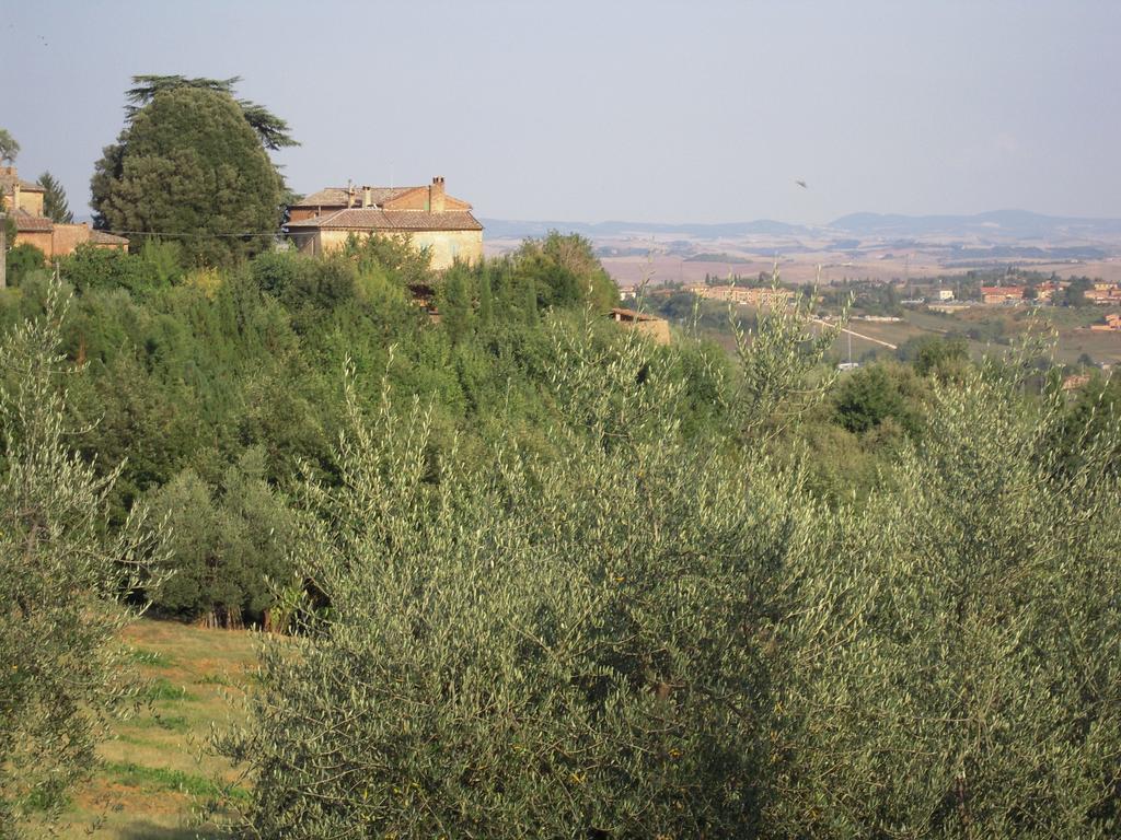 Villa Caprera Siena Bagian luar foto